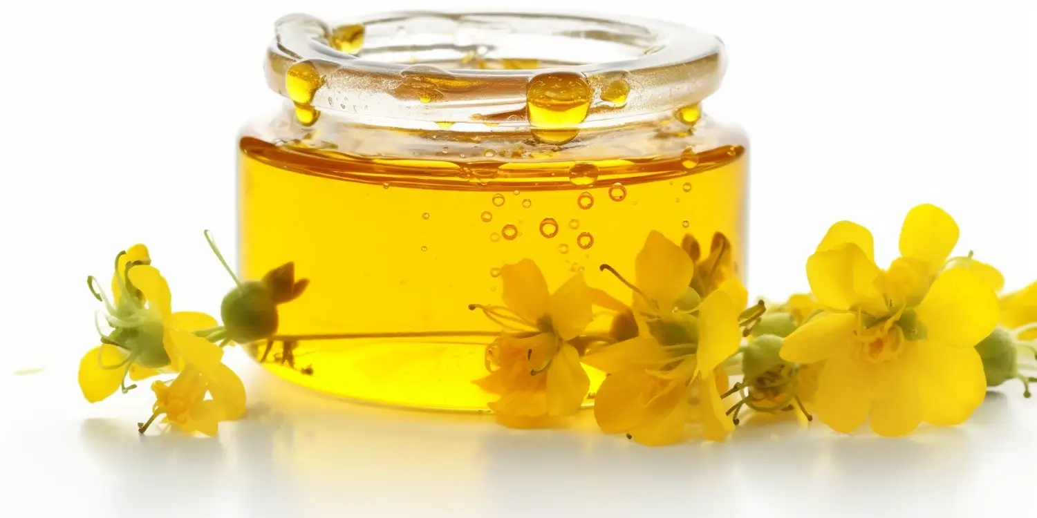 Miód wrzosowy - zastosowanie i właściwości