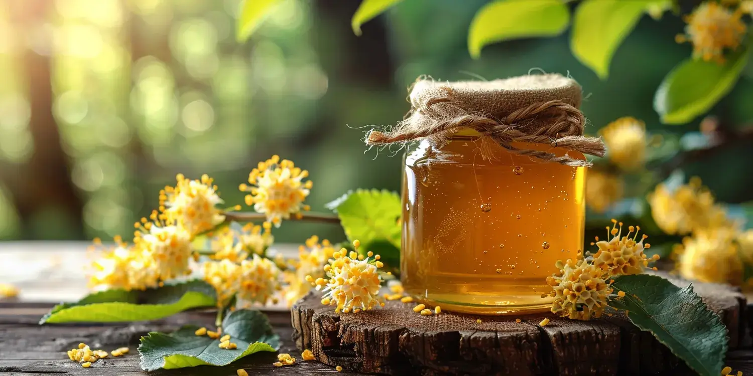 Jak rozpoznać miód rzepakowy?