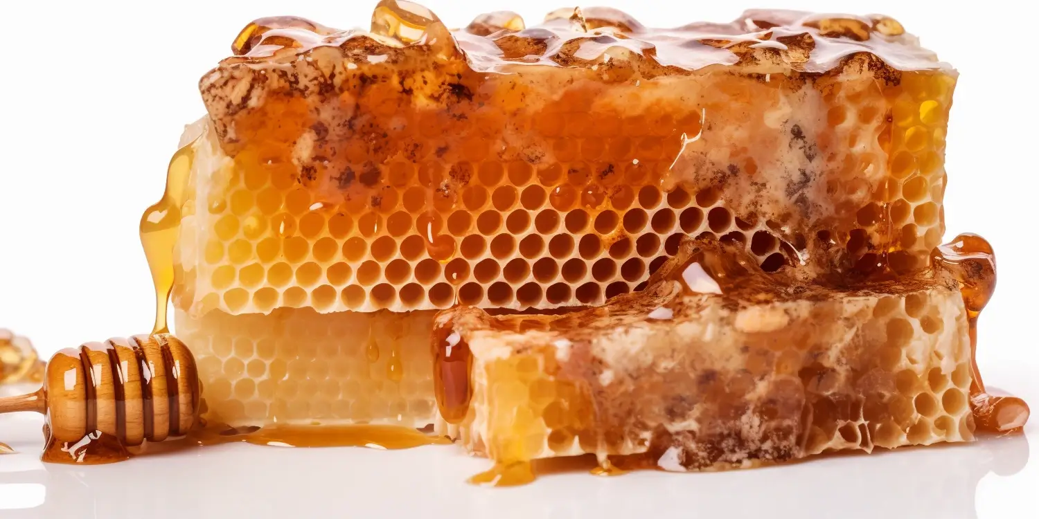 Miód akacjowy kiedy się zbiera?